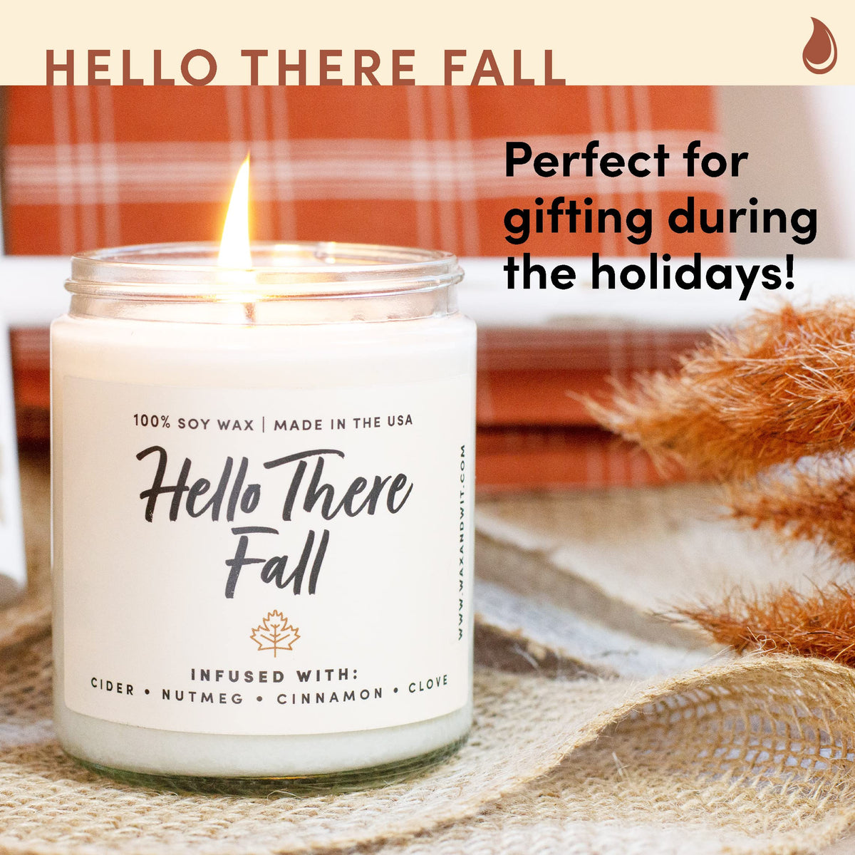 Wax & Wit Fall Candles for Home Scented – Apple, Cinnamon, Clove, Orange – Perfect Home Décor Gifts for Autumn, Holiday, Christmas, Winter - 9oz, Soy Wax, 50 Hour Burn