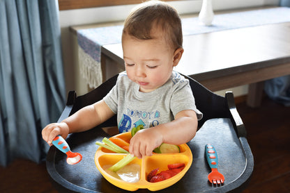 PandaEar 3 Pack Toddler Plates, Silicone Divided Suction Plate for Babies, BPA-Free 100% Food-Grade Silicone Unbreakable Baby Plate (Pink/Purple/Blue, Without Lids)