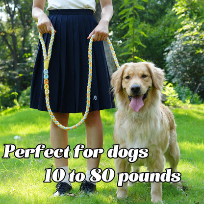 5FT Braided Cotton Rope Leash for Small, Medium and Large Dogs, Red & White Twist