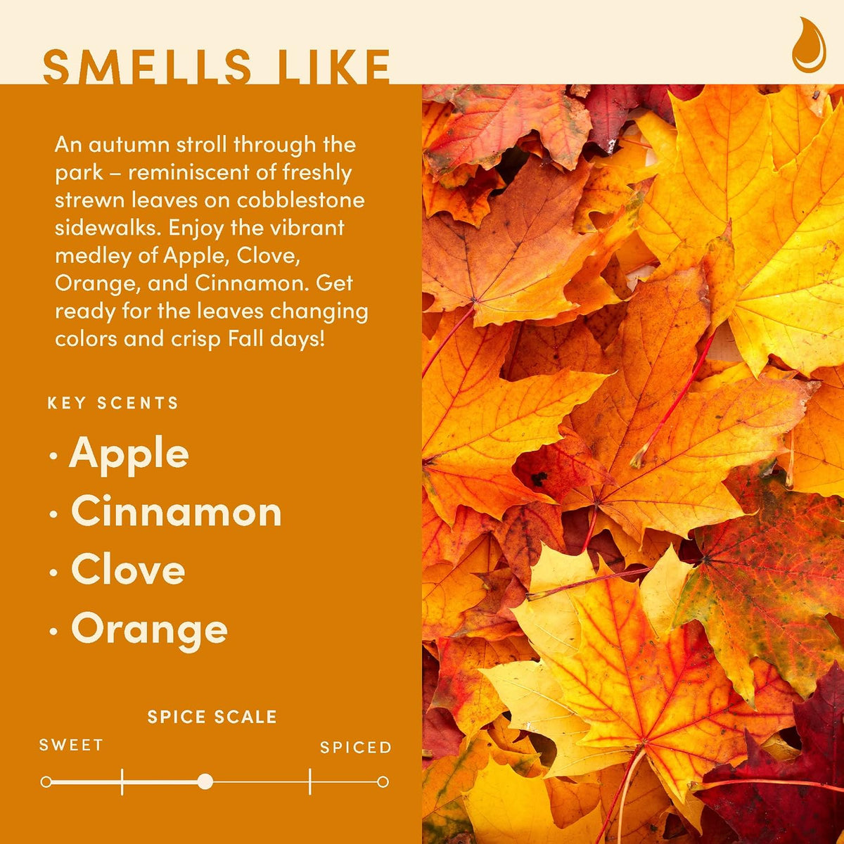 Wax & Wit Fall Candles for Home Scented – Apple, Cinnamon, Clove, Orange – Perfect Home Décor Gifts for Autumn, Holiday, Christmas, Winter - 9oz, Soy Wax, 50 Hour Burn